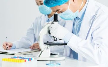 质量工作计划模板6篇
