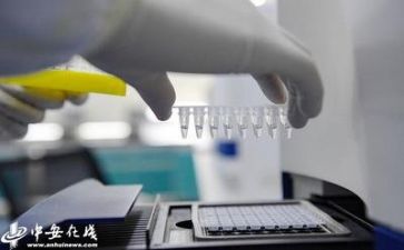 安全与质量的心得体会7篇