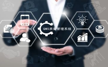 2024年度质量工作计划优秀5篇