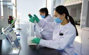 年度质量工作计划优质6篇
