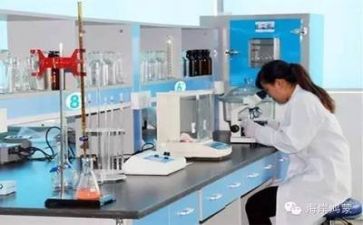 质量股工作计划6篇