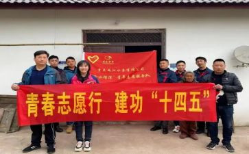 高校志愿者活动总结8篇