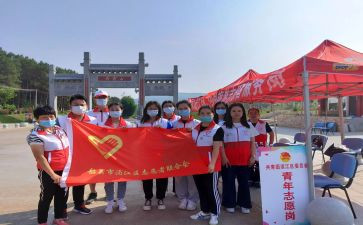 开展志愿者活动总结8篇