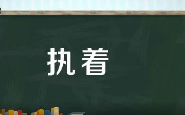 执着作文800字8篇