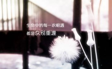 重逢作文800字7篇