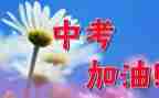 中考亲情类作文7篇
