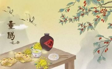 大学生重阳节活动策划6篇