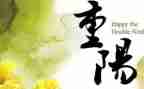重阳的活动策划5篇