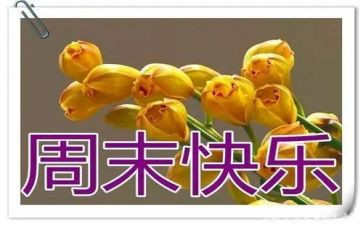 周末作文600字作文模板5篇