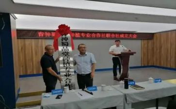 专合社申请书模板6篇
