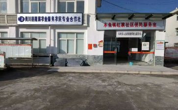 专合社申请书通用8篇