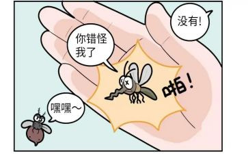 抓蚊子的作文模板5篇