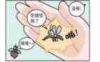 抓蚊子的作文模板5篇