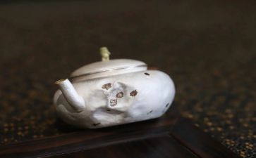 拙与巧的关系作文8篇