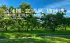 师德铸师魂演讲稿8篇