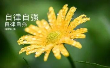 自强好少年事迹模板5篇