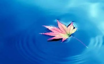 自然现象的作文400字6篇
