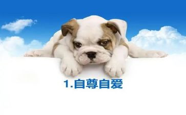 关于自尊演讲稿8篇