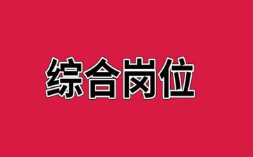 综合岗明年工作计划5篇