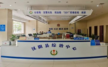 综治主任述职报告7篇