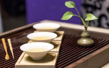 坚持根本宗旨心得体会5篇
