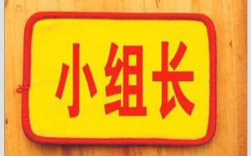 组长转正述职报告8篇