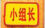 组长工作月总结模板5篇