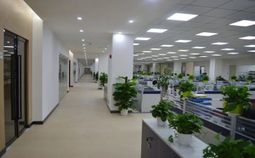 组织室工作总结参考8篇